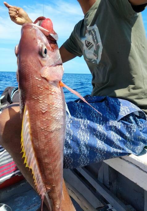 Case Creole Independante Proche Mer ラ・ガウレット エクステリア 写真